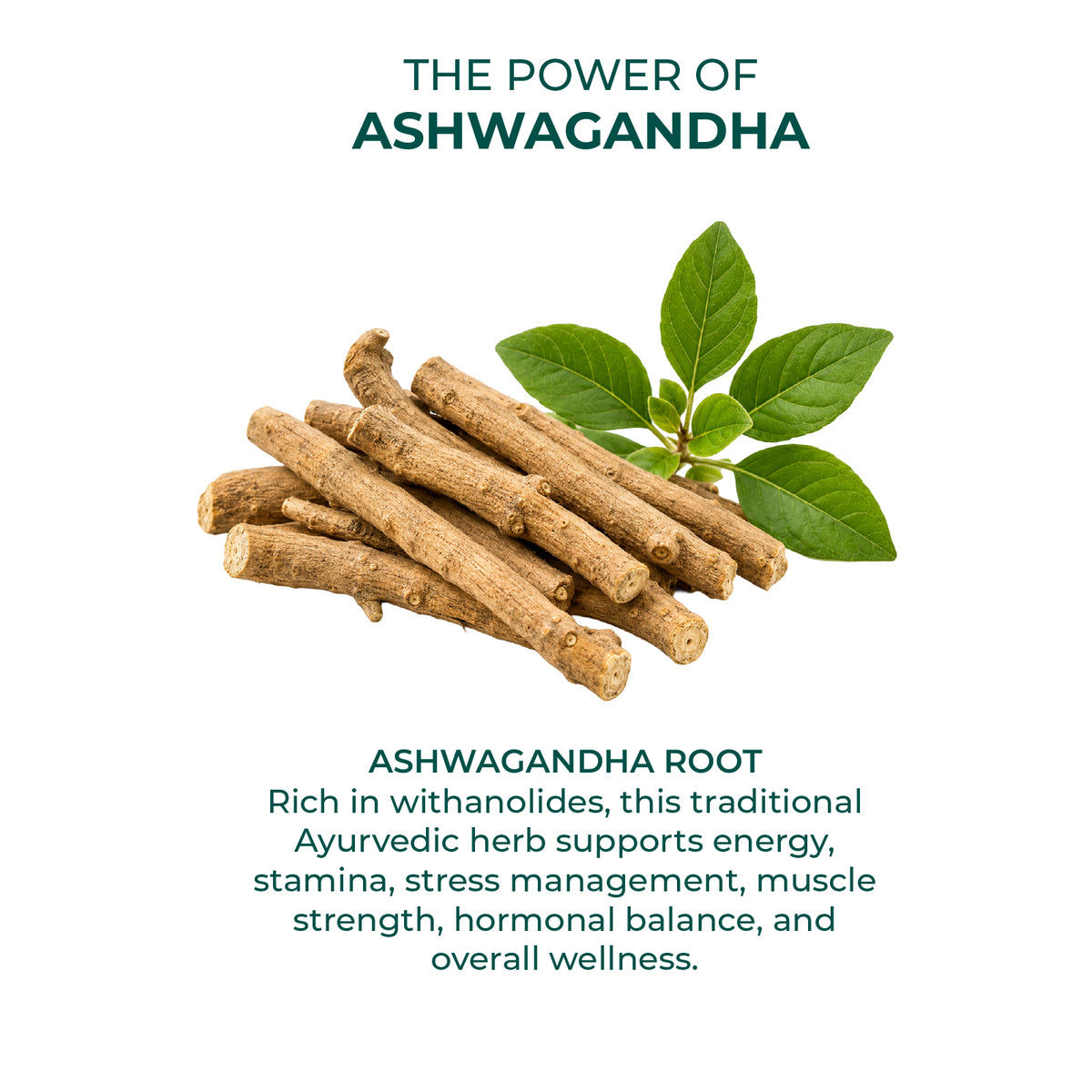 Akshobhveda Ashwavati