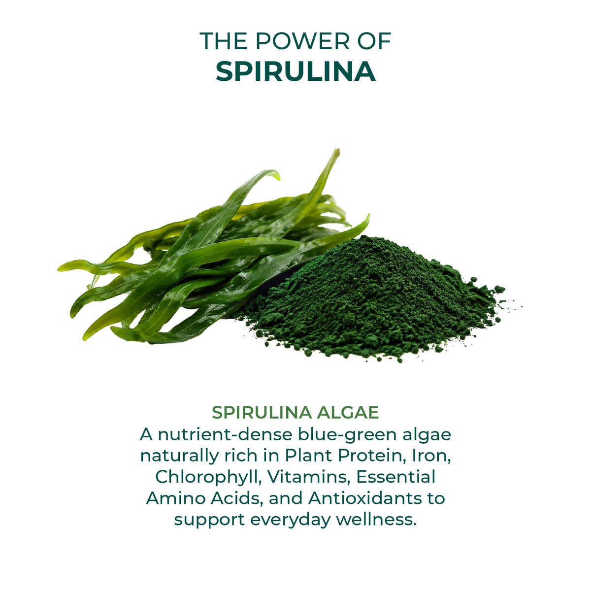 Spiriluna Vati