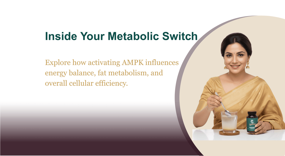 The AMPK Switch: How to Activate Your Body’s "Metabolic Master-Switch"