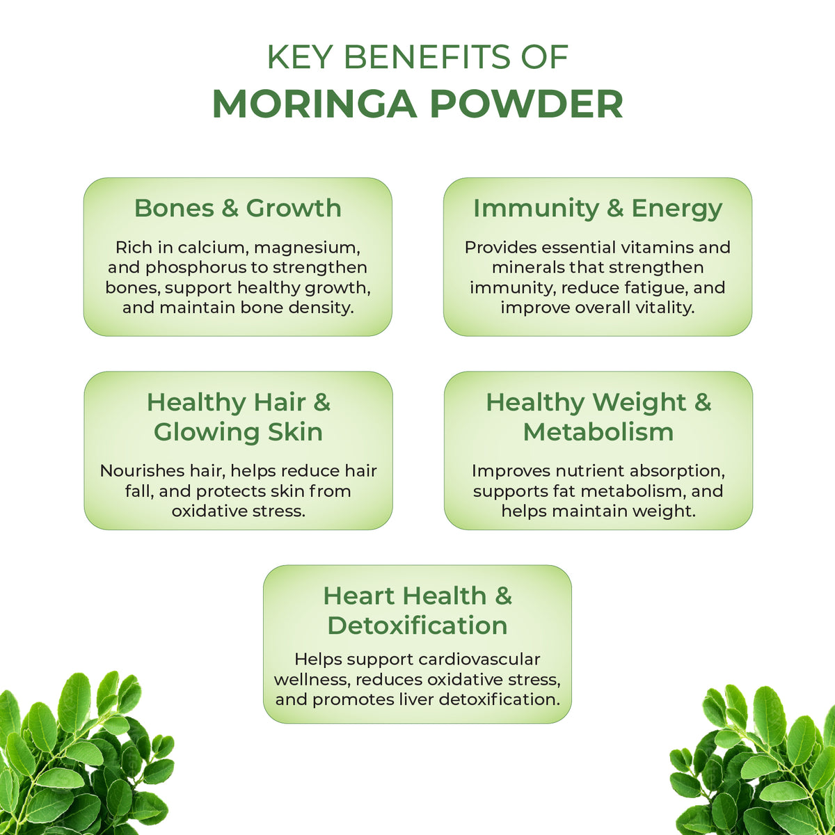 Akshobh Veda Moringa Powder