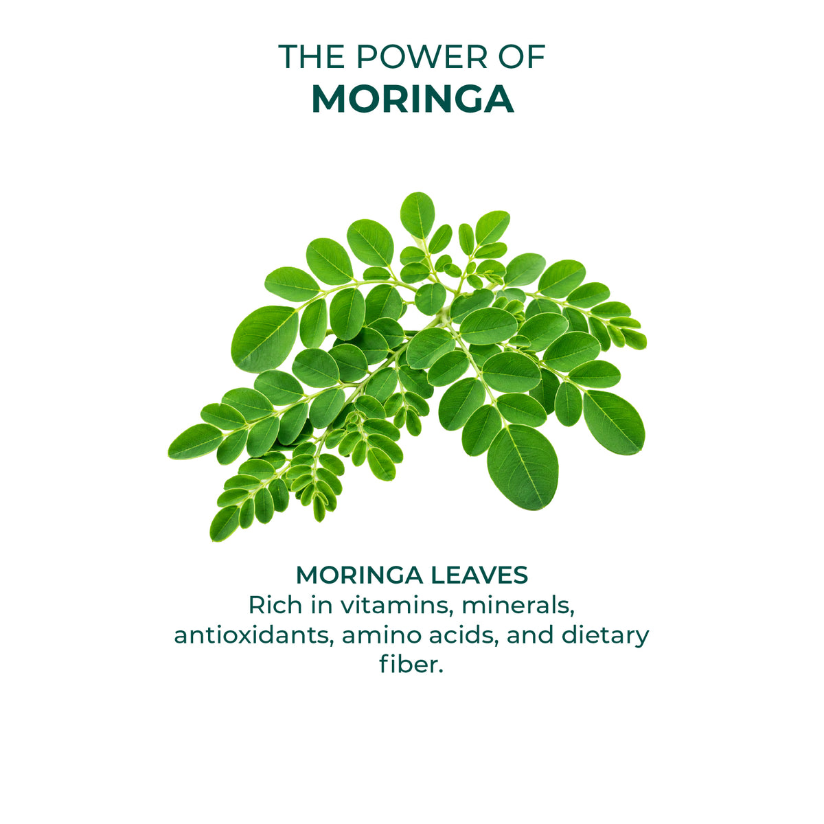 Akshobhveda Moringa Vati