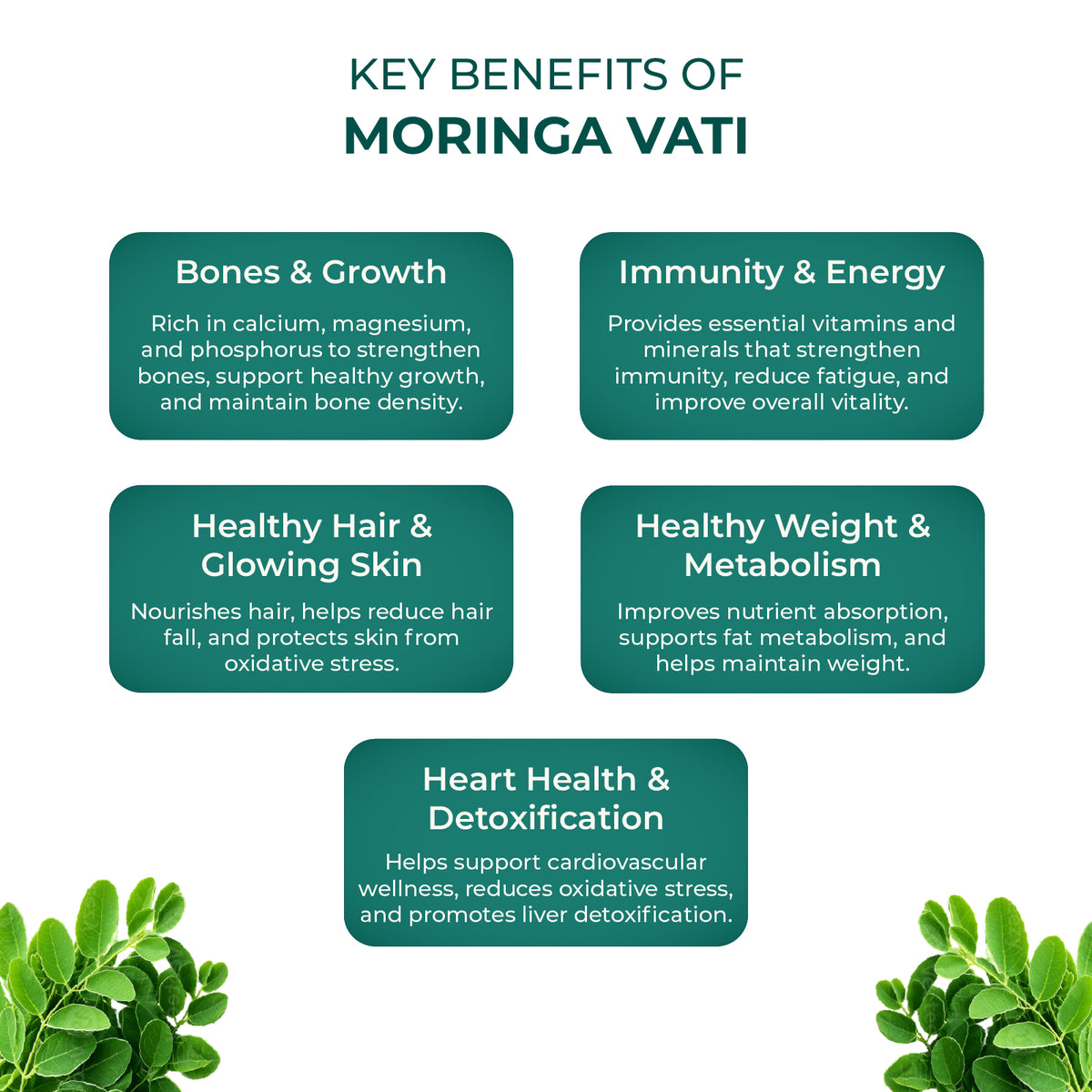 Akshobhveda Moringa Vati