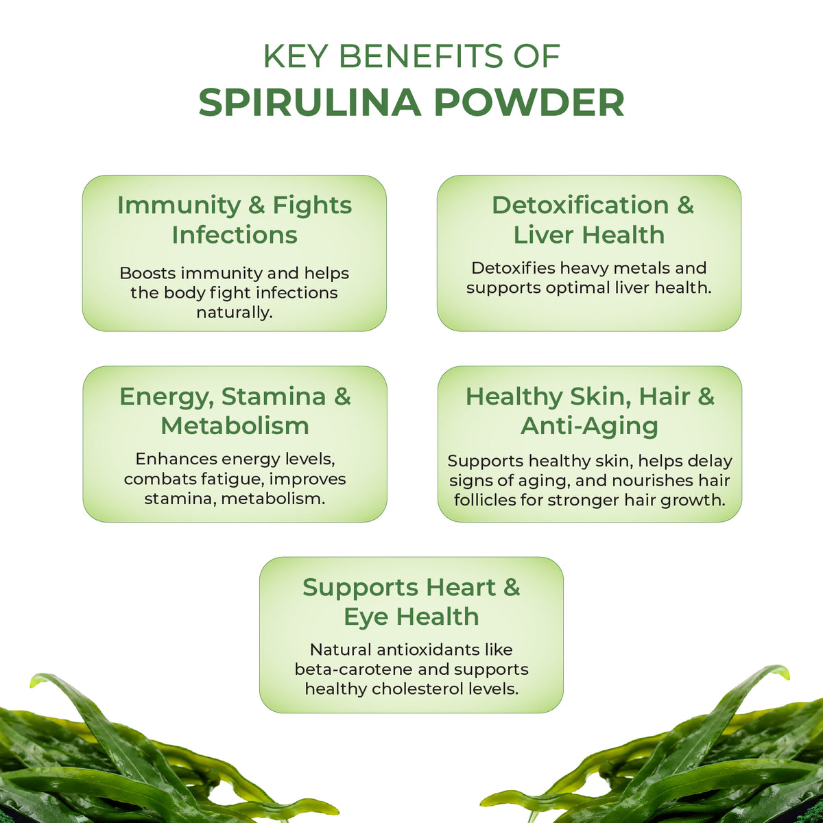 Akshobhveda Spirulina Powder
