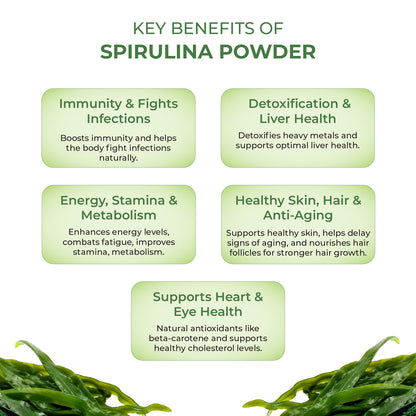 Akshobhveda Spirulina Powder