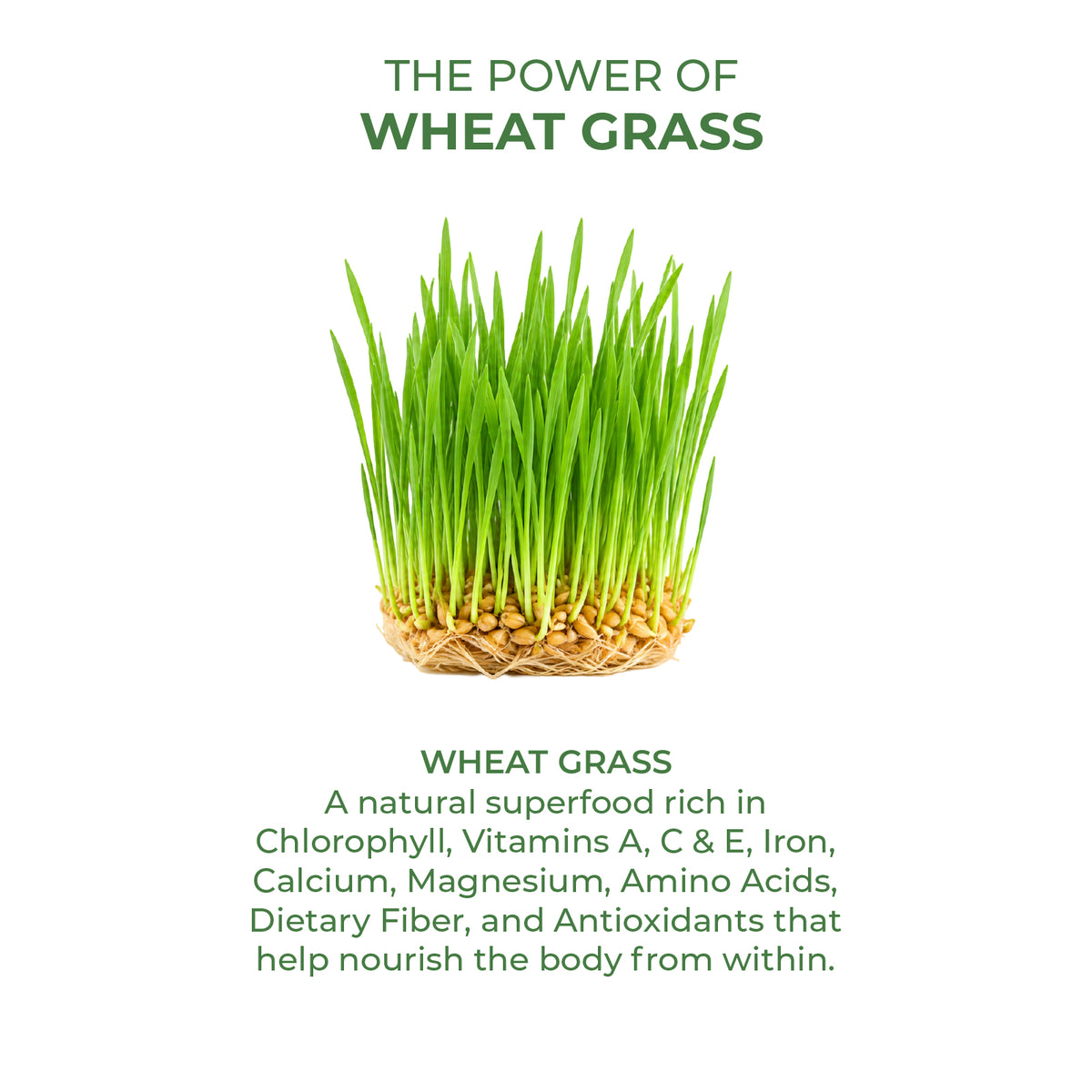 Akshobhveda  Wheat Grass Powder