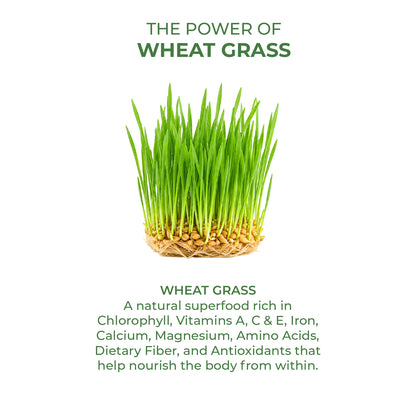 Akshobhveda  Wheat Grass Powder