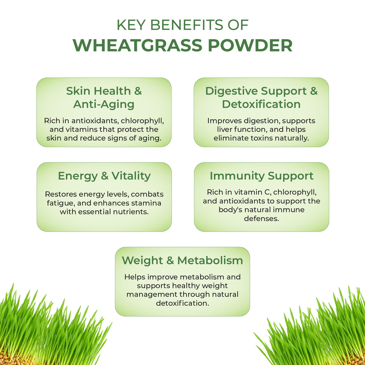 Akshobhveda  Wheat Grass Powder
