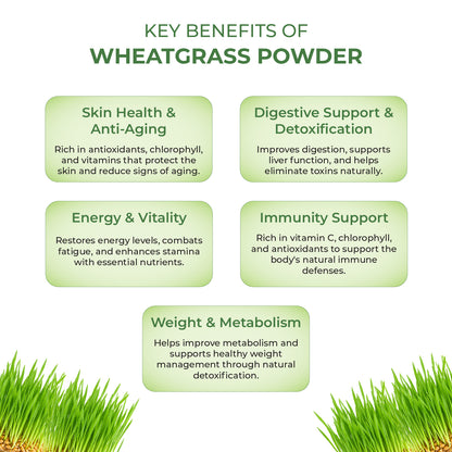 Akshobhveda  Wheat Grass Powder