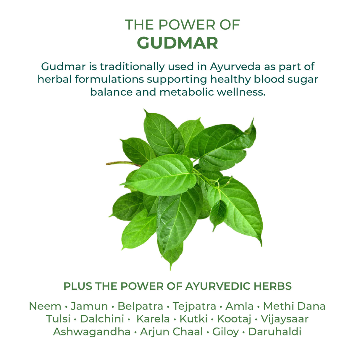 Blood Sugar Care Herbomix