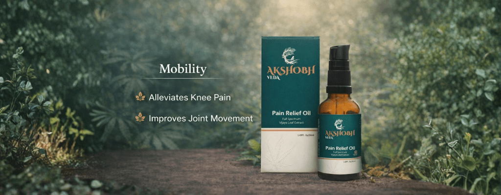  Akshobh Veda Pain Relief Oil with natural cannabis leaf background, highlighting plant-based support for knee pain relief and improved joint mobility.
